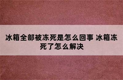 冰箱全部被冻死是怎么回事 冰箱冻死了怎么解决